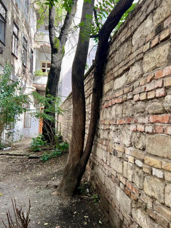 Gozsdu Court Szelenyi Budapest